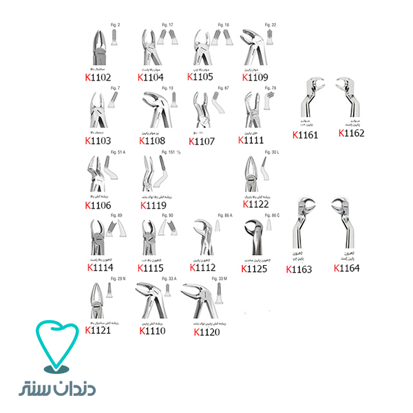 انواع فورسپس‌ بزرگسال کوشا/ Types Of Kousha Extraction Forceps European Pattern